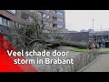 Beelden van storm Ciara in Brabant.