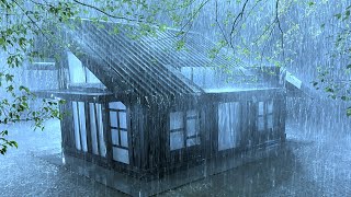 Immerse Yourself in Deep Sleep with Powerful Rain & Creepy Thunder on the Fragile Tin Roof at Night
