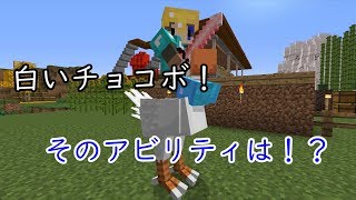 【マイクラ】和風な世界でサバイバル【21】