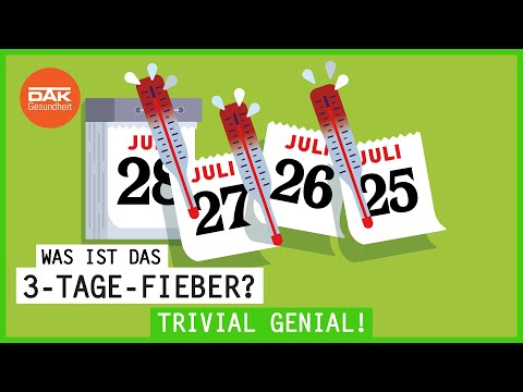 Was ist das Drei-Tage-Fieber? | #trivialgenial | DAK-Gesundheit