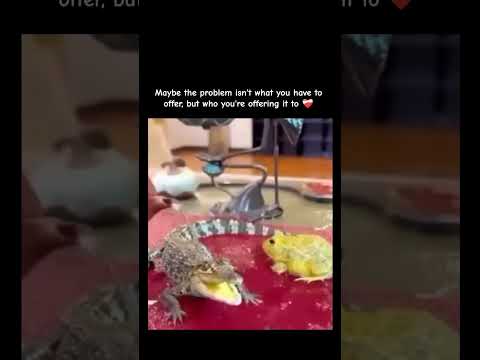 Maybe the problem isn't what you have to offer, but who you're offering it to ❤‍🩹 #viral #shorts