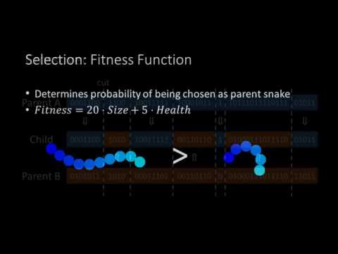 Snakes, Neural Networks and Genetic Algorithms