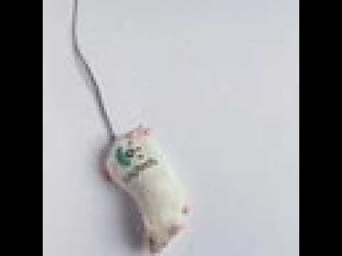 TEST 1.ZLS Duga - Spartak