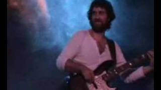 Elefantes "se me va"