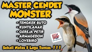 Download lagu Sekali nafas 5 materi ! MASTERAN CENDET FULL ISIAN TEMBAKAN MEWAH‼️ mp3