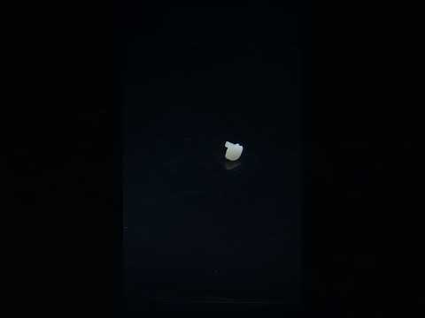 YouTube 썸네일