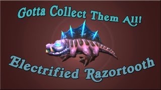 preview picture of video 'World of Warcraft Pet Battles: Gotta Collect Them All! Electrified Razortooth'