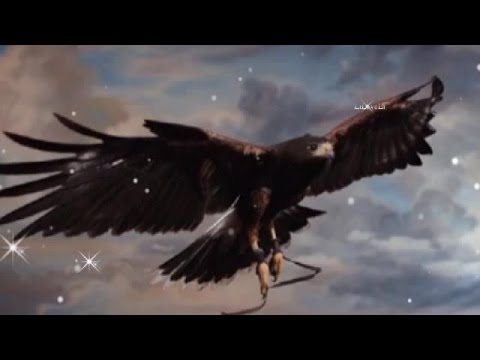 Ennio Morricone - Le Vent, Le Cri