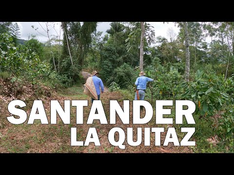 COLOMBIA: Sobreviviendo en el campo (La Quitaz - Santander)