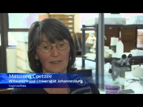 tagesschau 20:00 Uhr, 06.10.2013