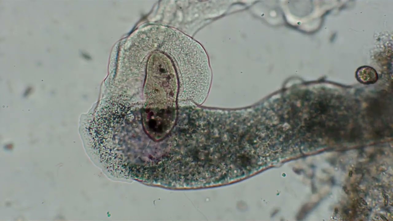 Rare events in the microscopic world