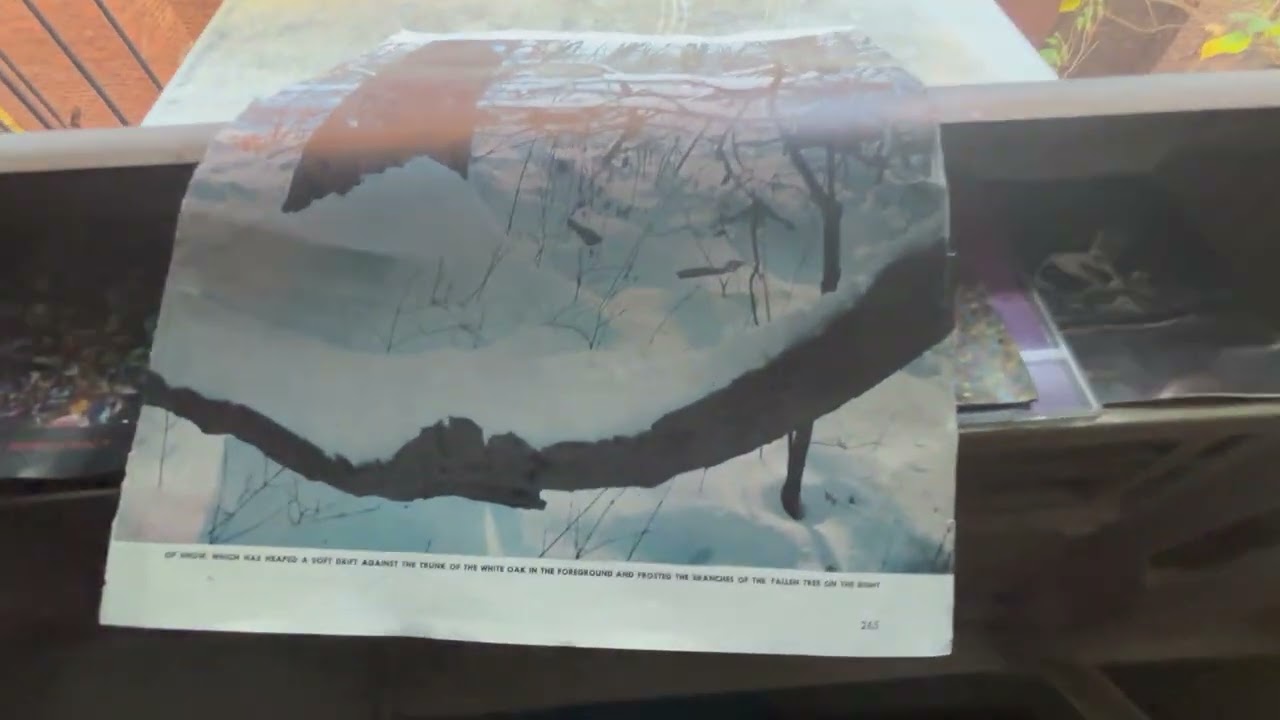 Perspective  (Foreground Vs. Background)