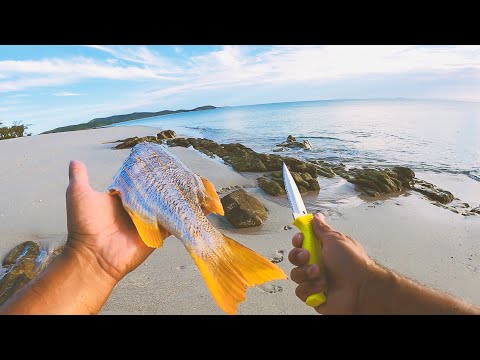 Living From The Ocean - Solo Camping An Uninhabited Tropical Island - Part 1