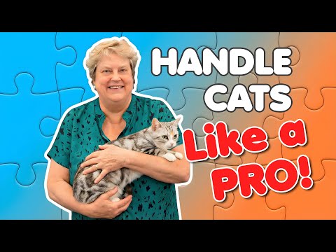 Handle Cats Like a PRO!