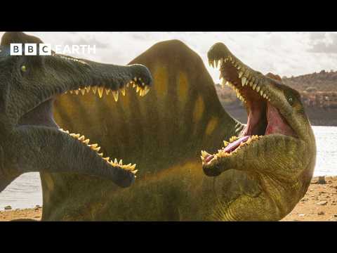 Spinosaurus Fierce Fight for Food and Survival | Walking with Dinosaurs | BBC Earth Science
