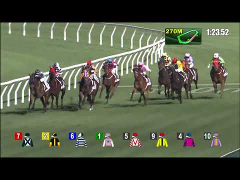 26/1/2022 (369) V Chevaliers - Matthew Chadwick