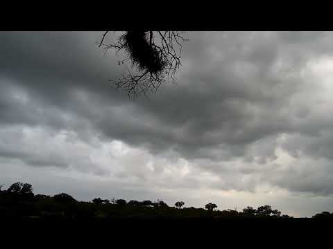 Djuma: Sky view of late afternoon rain clouds getting thicker - 17:16 - 02/02/2023