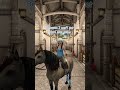 I Remember Saving Up For That Pony For Months 🥹 Sso Starstableonline Starstable Starcoins