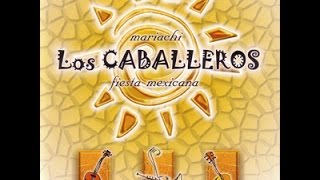 Mariachi Los Caballeros - La Bamba