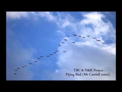 TBC & N&R Project - Flying Bird (Mr Carefull remix) [Defcon100]