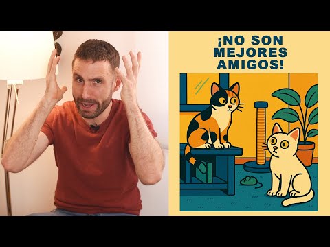 ¿Cómo puedo hacer que mis gatos sean los mejores amigos?