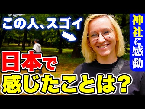 国際教養学科 「日本の精神や宗教観に感激したわ！」外国人に日本の印象を聞いてみたら日本の理解度がすごかった！【外国人観光客にインタビュー】【海外の反応】