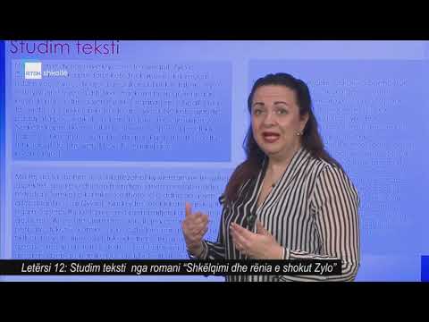 Letërsi 12 - Studim teksti  nga romani "Shkëlqimi dhe rënia e shokut Zylo"