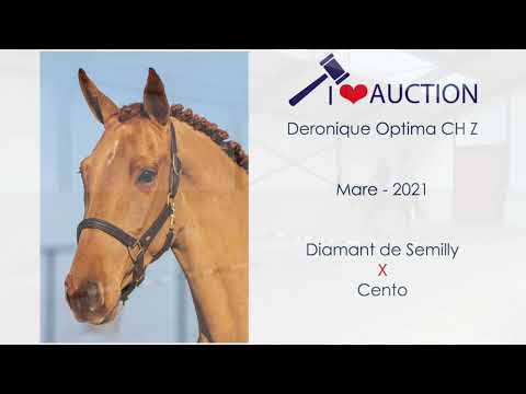 Deronique Optima CH Z Jumping under the saddle