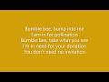AQUA - Bumble Bees Lyrics