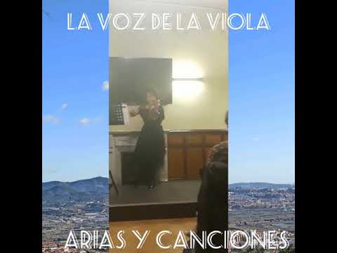 Vídeo violín/viola cover 1