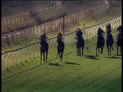 Galoppo 16/12/2018 - 6ª corsa