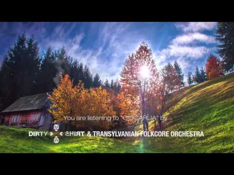 Dirty Shirt & Transylvanian Folkcore Orchestra - Ciocarlia (Official Video)
