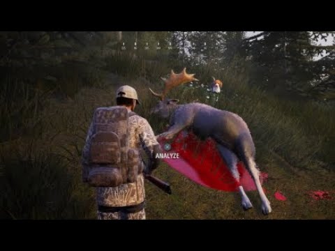 SHAREfactory™: Hunting simulator 2 Moose