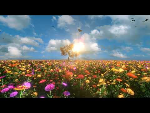 Meditacija koja će pomoći da osetiš ljubav prema sebi. Zavoli sebe i ceo svet će te zavoleti!