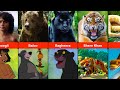 Comparison The Jungle Book Characters In Real Life