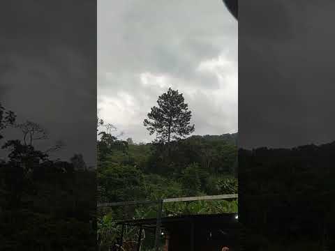 #shorts #shortvideo  paseando. escuque Valera estado Trujillo Venezuela #short