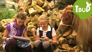 Ponyhilfe.de (Folge 46) | Tiere bis unters Dach | SWR Plus