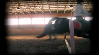 I&#39;m going to be the last one standing [MEET YOUR COACH, GRACELAND EQUESTRIAN CENTER]