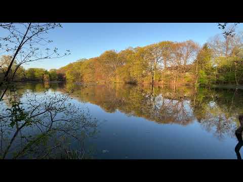 Clark's Pond, Bloomfield NJ (20 min) #njzen #asmr #njparks #njponds #njoutdoors #outdoormeditation