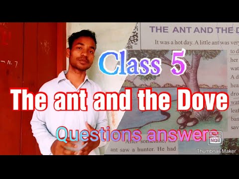The Ant and the Dove Question Answer thumbnail