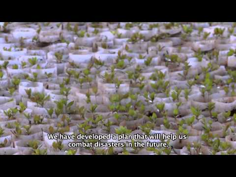 Wereda Profile and Wereda DRR Planning - DRMFSS - Ethiopia