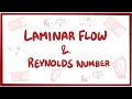Laminar Flow Turbulence And Reynolds Number