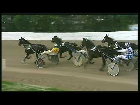 Trotto 13/11/2020 - 5ª corsa