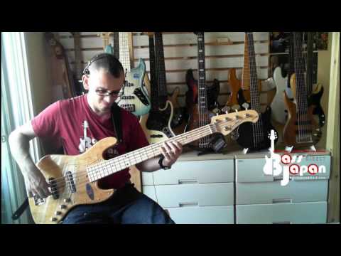 Bacchus Global WL534ACT