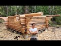 One Year Alone In The Forest Building A Log Cabin