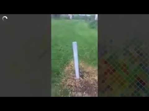 Xem thôi đã thấy sướng con mắt rồi!