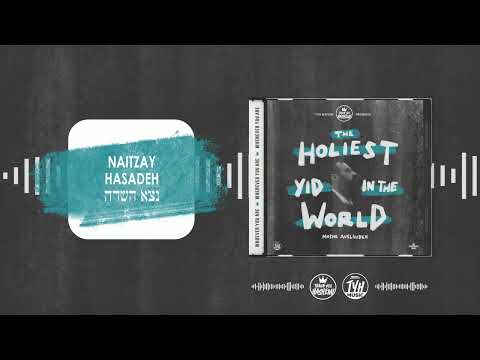Naitzay Hasadeh - נצא השדה | Moshe Auslander