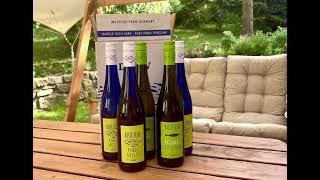 Pfalz Die Weinmacher Blue Fish 5 + 1 - suchá vína