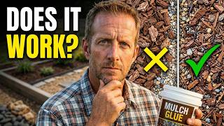 I Tested Mulch Glue So You Don't Have To