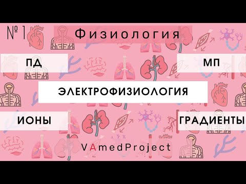 #1 Электрофизиология: потенциал действия, потенциал покоя.